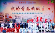 我的青春我做主！——临湖实验中学第五届校园艺术节汇演