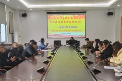深入学习《习近平总书记关于党的建设的重要思想概论》 ——临湖实验中学2月党员主题日活动