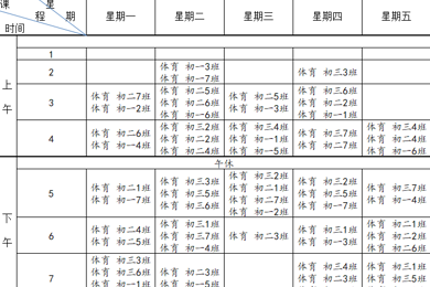 2025-2026年度临湖实验中学体育总课表